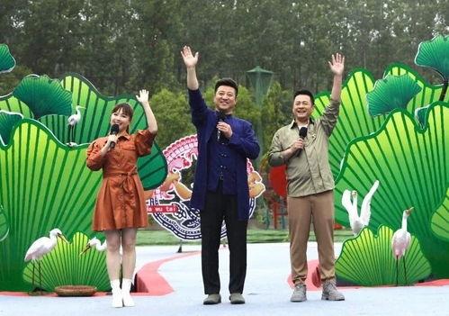 最新羊毛爆料图片欣赏视频,高清图片与视频带你领略时尚潮流