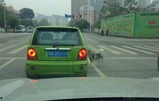 江先生最新爆料,揭秘娱乐圈惊天秘密！