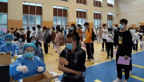 郑州微头条最新爆料消息,最新爆料揭示惊人内幕！