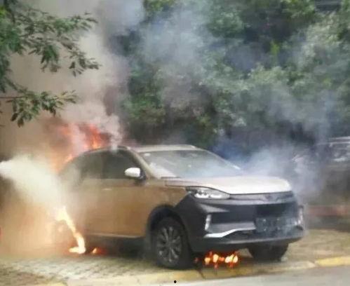 抽车最新爆料视频大全图片