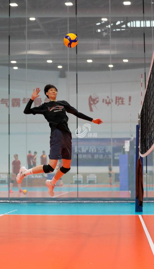 王海洋最新爆料,揭秘娱乐圈惊人内幕