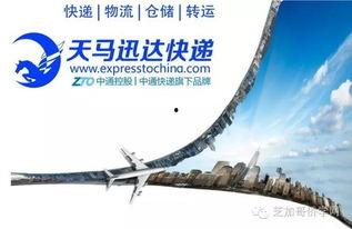 天马迅达最新爆料,揭秘科技巨头最新动态与未来趋势