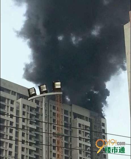 港城新闻爆料事件最新进展,真相逐步浮出水面